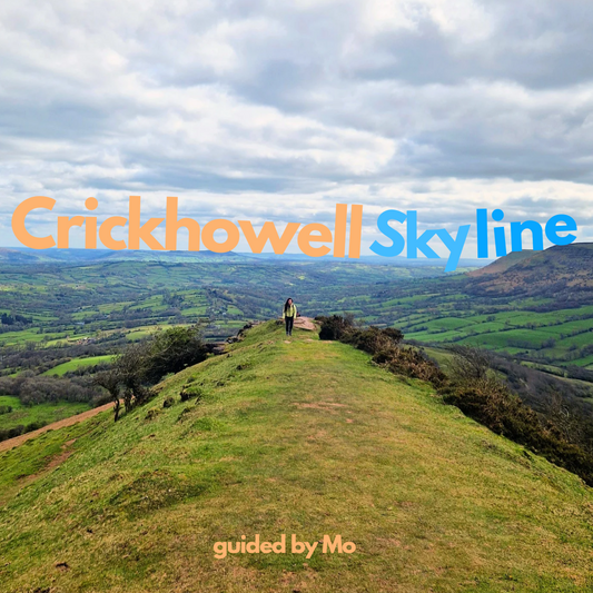 Crickhowell skyline guided hike!
